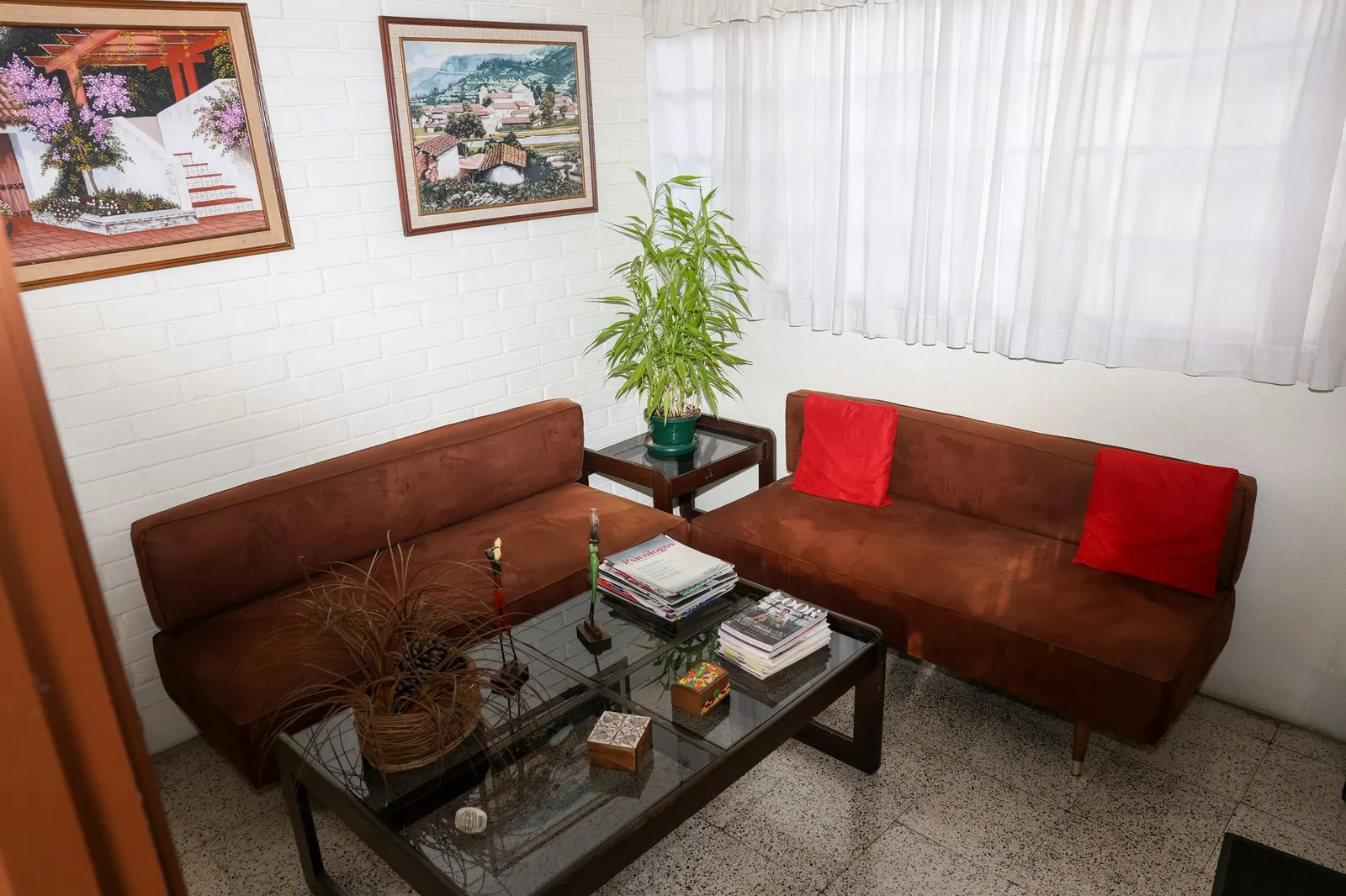 Sala de espera del consultorio: sofás color marrón con cojines rojos, una planta y una mesa de centro con revistas